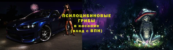 молекула духа Балахна