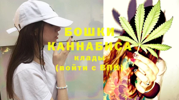 молекула духа Балахна