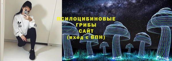 ПСИЛОЦИБИНОВЫЕ ГРИБЫ Медвежьегорск